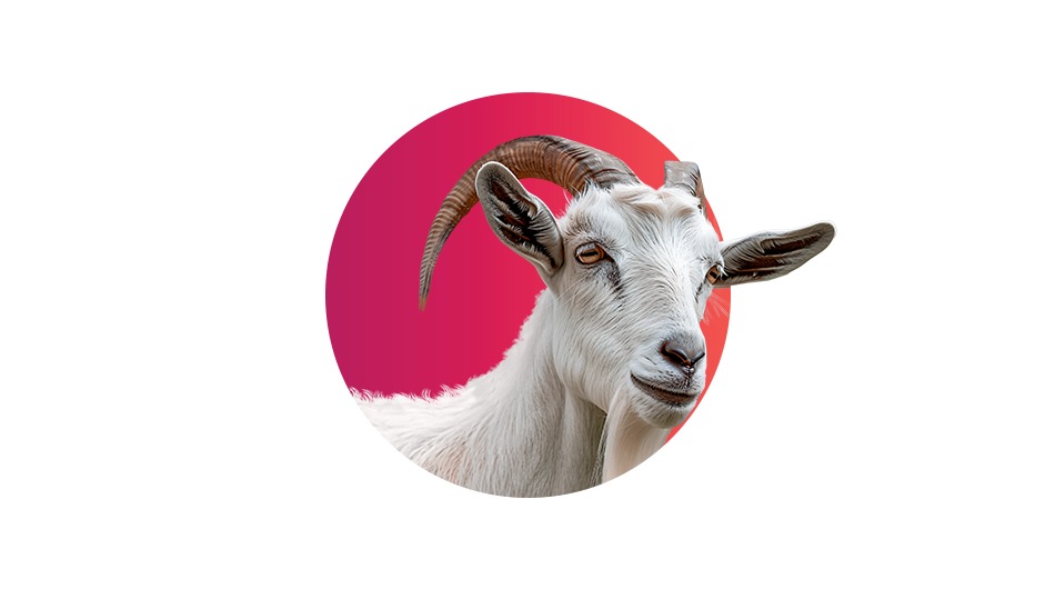 Male Goat